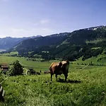 Perktold Nesselwängle