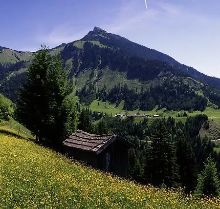 Landhaus Perktold 3* Nesselwangle