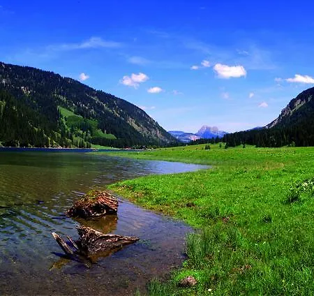 ゲストハウス Perktold 3*