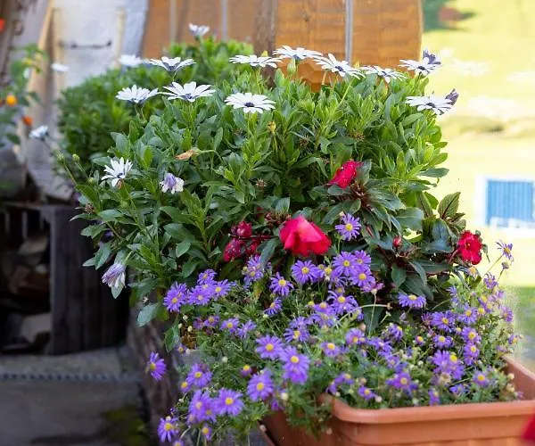 Guest house Landhaus Perktold Nesselwangle