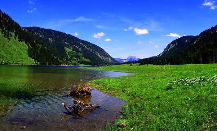 Guest house Landhaus Perktold 3*