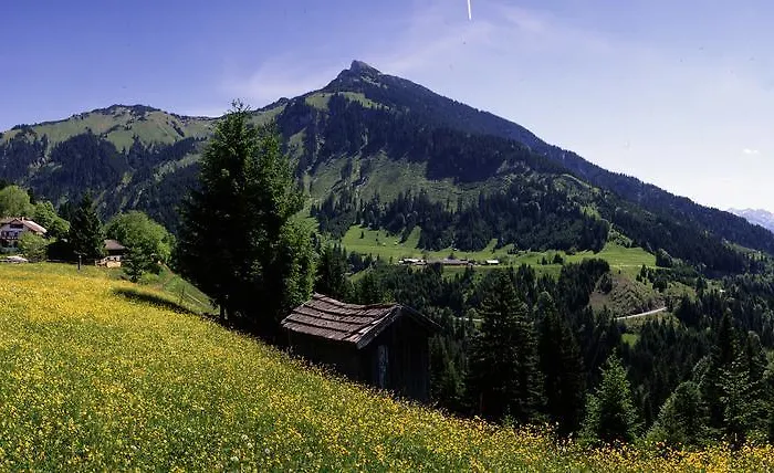 Landhaus Perktold 3* Nesselwangle