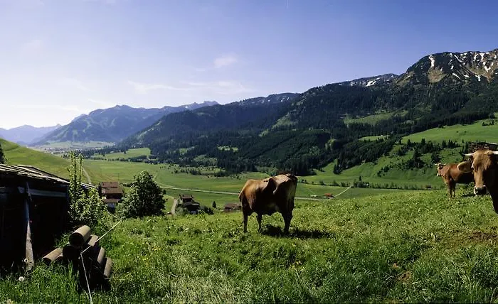 Landhaus Perktold Nesselwangle