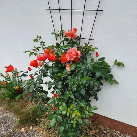 Landhaus Perktold 3*