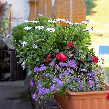 Guest house Landhaus Perktold Nesselwangle